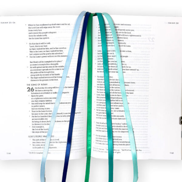 Blue Bliss Bible Ribbons - Image 5