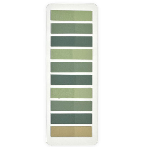 Flag Sheet 37