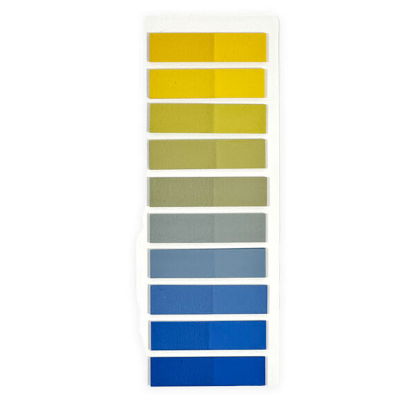 Flag Sheet 61