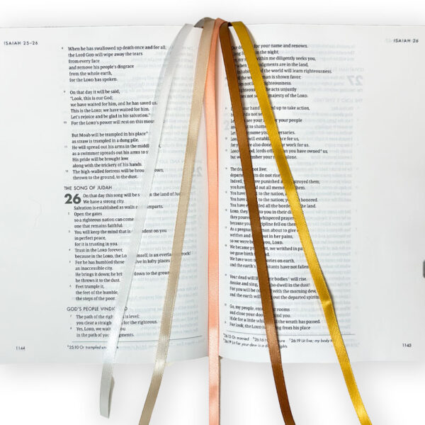 Guilded Blush Bible Ribbons - Image 5