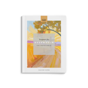Overwhelm |  PDF