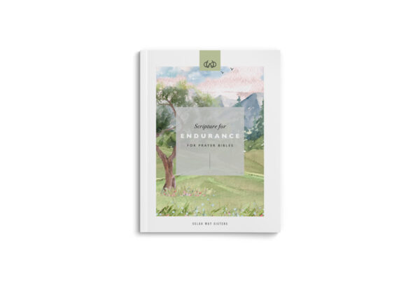 Endurance |  PDF