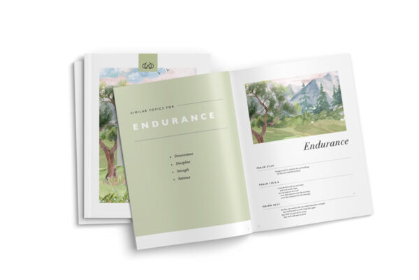 Endurance |  PDF - Image 2