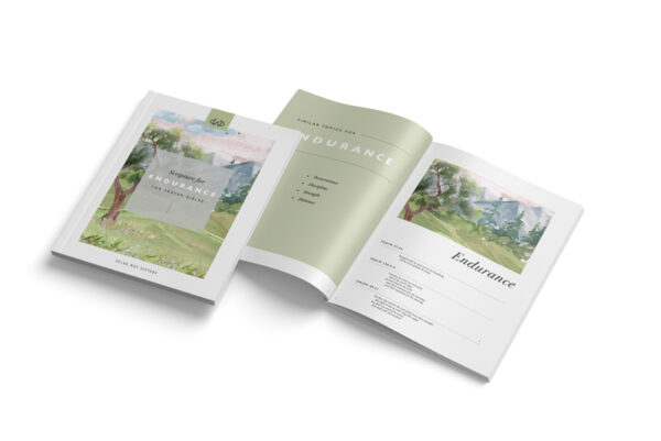 Endurance |  PDF - Image 3