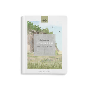 Strength |  PDF