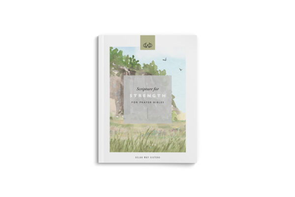 Strength |  PDF