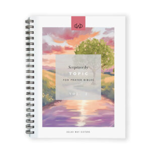 The Scripture Book - Vol. 2